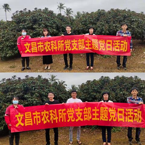 文昌市农业科学研究所为民办实事 —荔枝栽培管理技术指导