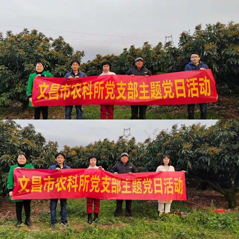 市农科所开展“党建+技术下乡”在线服务行动