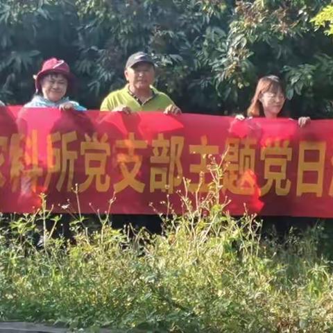 文昌市农业科学研究所为民办实事 —荔枝栽培管理技术指导