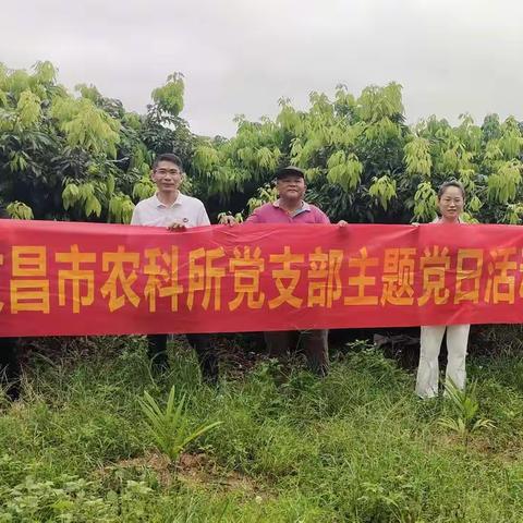 文昌市农业科学研究所为民办实事—荔枝栽培管理技术指导