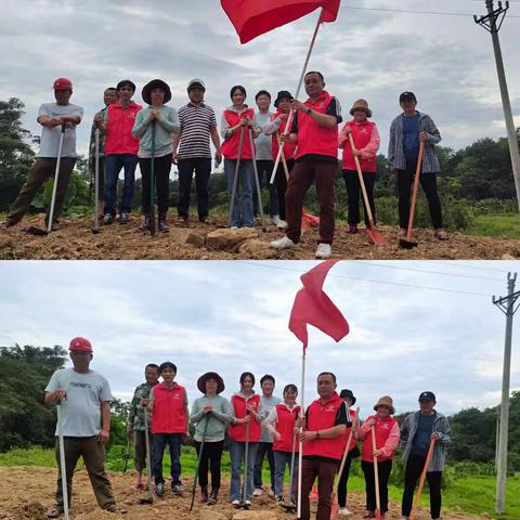 文昌市农业科学研究所开展专业化大练兵—党建引领“六水共治” 共建美丽家园