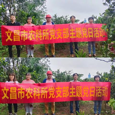 市农科所开展党建引领为民办实事活动 —青金桔栽培管理技术指导