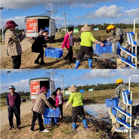 市农科所开展技术下乡，服务“三农”活动