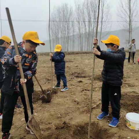 “绿”动唐河——我是小小植树人