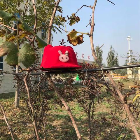 李老师的大名北日常