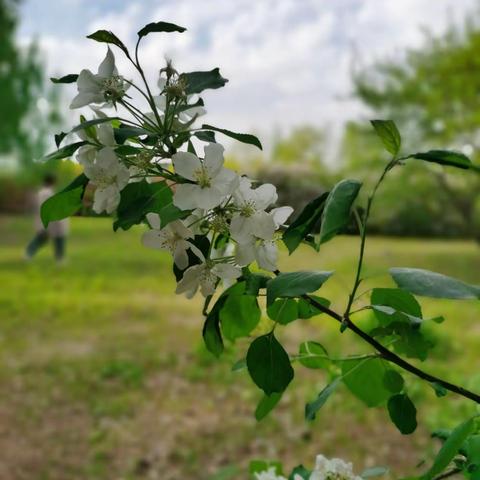 立夏，红肥绿瘦，风暖夏长