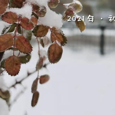 2021年•初雪