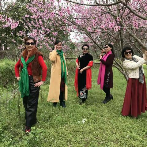 开心、快乐就好的美篇