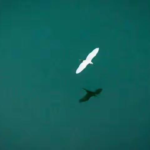 一起去飘江河湖海吧！