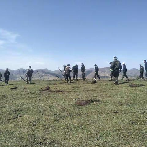 大草滩林场在辖区内开展侵占林地专项整治行动