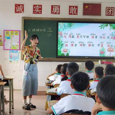 春华秋实，岁物丰成——记丰联小学语文科组教研活动