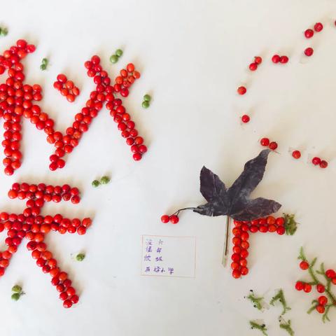 我眼里的秋天（手工贴画）