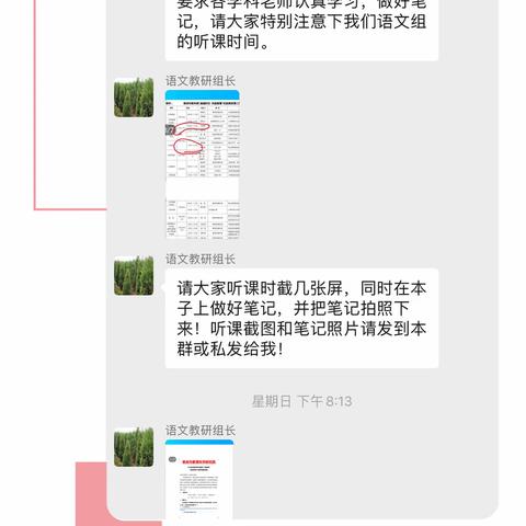 “梅”香缕缕，浸润心灵——记阳三小学语文组线上研学活动