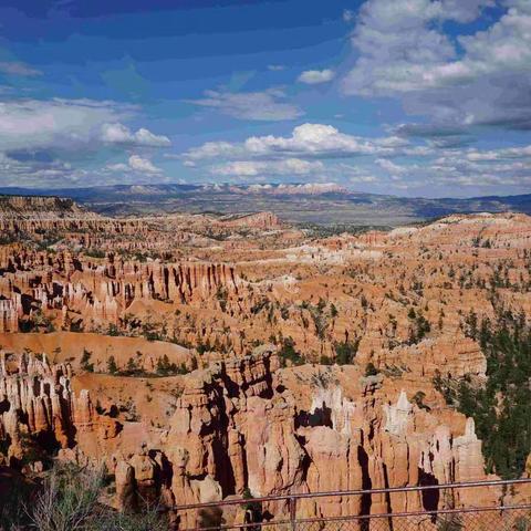 2019美国游（四）