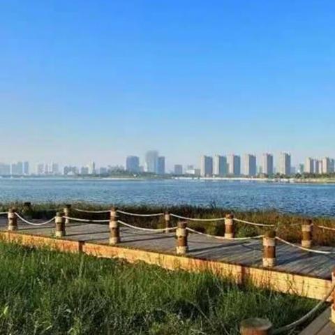 凉风习习日，畅玩汴西湖！马市街小学一四中队假期社会实践活动!