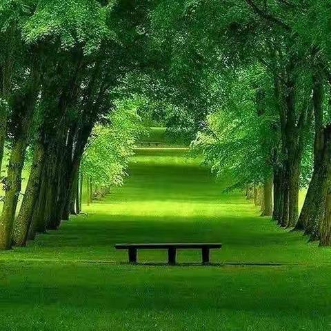 浓浓情，浅浅语；愿岁月静好，祝你我安康！