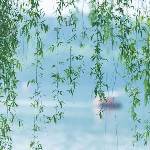 家校携手共育童心，成长之路风雨同行——遂川思源实验小学线上家校“视频”会