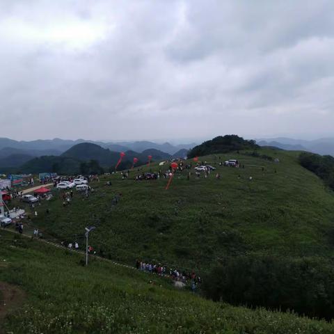 龙坪