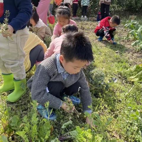 相逢植树节 小手添新绿