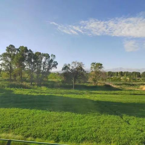 长寿老人秘诀（微小说）