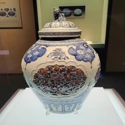 周末带老人观看博物院