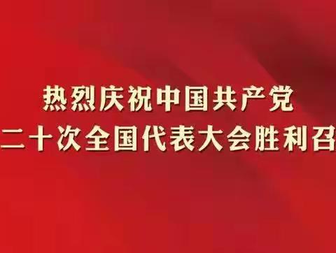 “童”心向党迎盛会，团结奋进新征程 ——靖远县银育小学