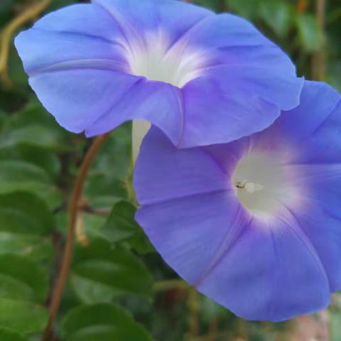 战友！兄弟情满天涯！