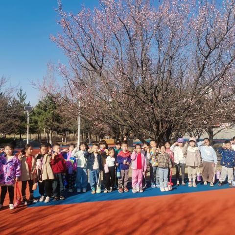 春日露营，和美好撞个满怀！慧智幼儿园果果二班