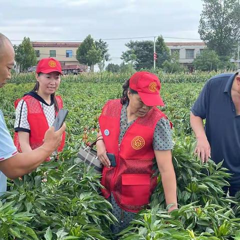 河南省科技特派员动员种地大户抗旱保秋