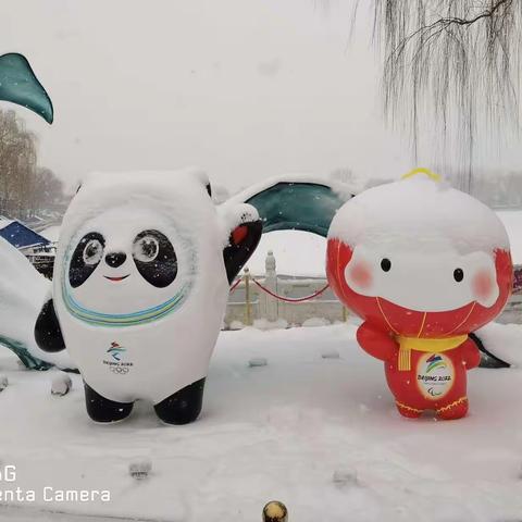 瑞雪兆丰年—雪后北海……