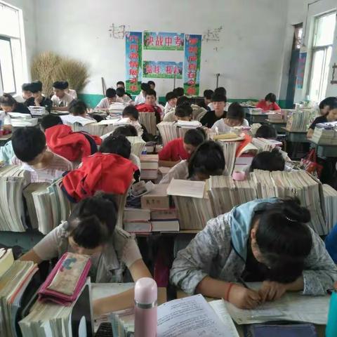 百花丛中一抹绿一一徐镇一中9.1班冲刺中考