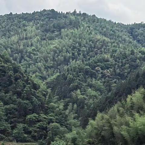 春天里，我和岭下水库有个约会