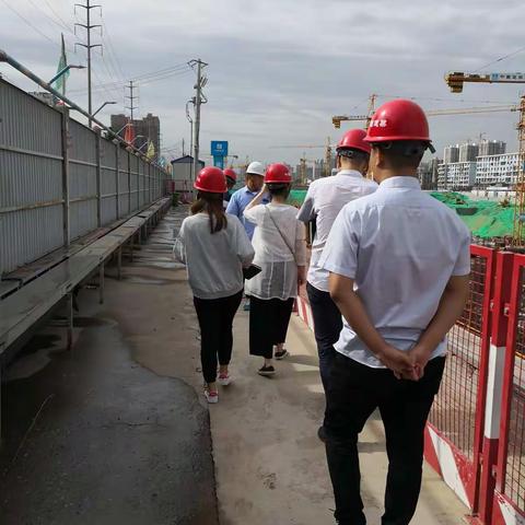 幸福基业公司业务部门前往幸福林带施工现场参观学习