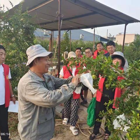 【巩义市新时代文明实践】——黑南村快乐星期天，助力果农乡村振兴