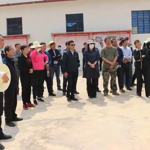 全县脱贫攻坚“挂牌督战”专项行动现场会在皎平渡镇召开