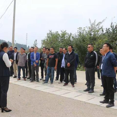 皎平渡镇到安宁市、中屏镇参观学习人居环境整治提升工作