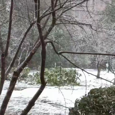 正月二十二日.武昌的雪