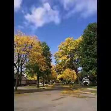 妞妞100天2021.8.4