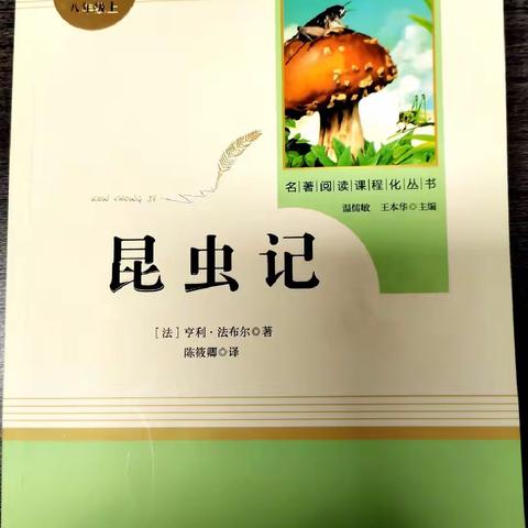 聆听昆虫秘语，感受生命魅力——渭城区第二初级中学八年级《昆虫记》名著阅读活动展示