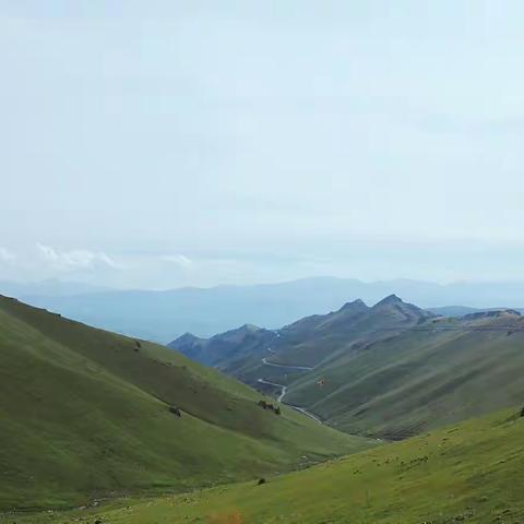 一起去旅行