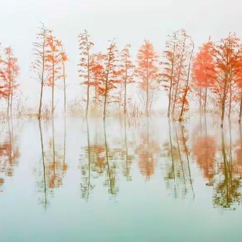 【摄影】2021，我的摄影足迹（风光篇）