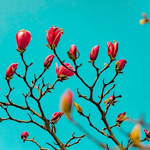 【散文】桐庐，我喜欢的那座城