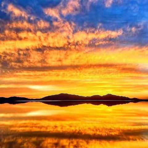 【摄影】手机摄影的要点和技巧