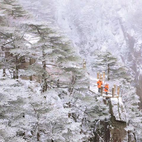 【现代诗】等一场雪