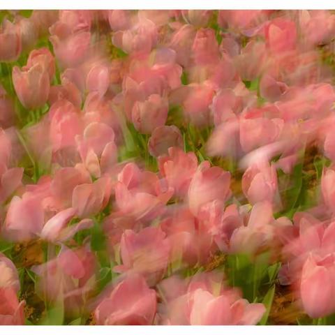 佳节感言:     感谢您，问候您！