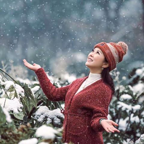 【摄影】云杉晓雅的《等一场雪》