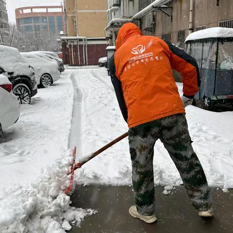 闻雪而动 扫雪除冰 暖心护行