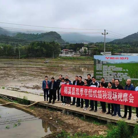 明溪：召开粮食生产暨双季早稻机插秧现场观摩会