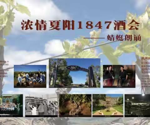 浓情夏阳1847的醇香