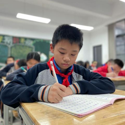 舞文弄墨，锦上花——1605班小作家石锦文